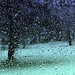 rain drops on my window…
